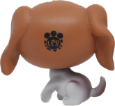 #231 Beagle